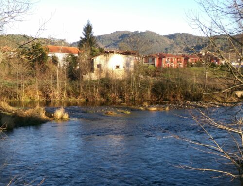 Restauración fluvial: mucho más que limpiar un río