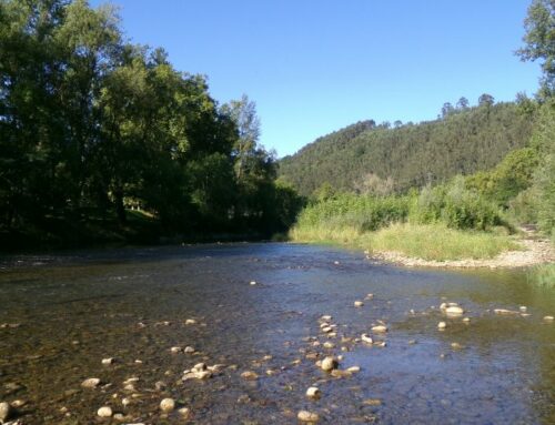 El caudal ecológico y la gestión del agua