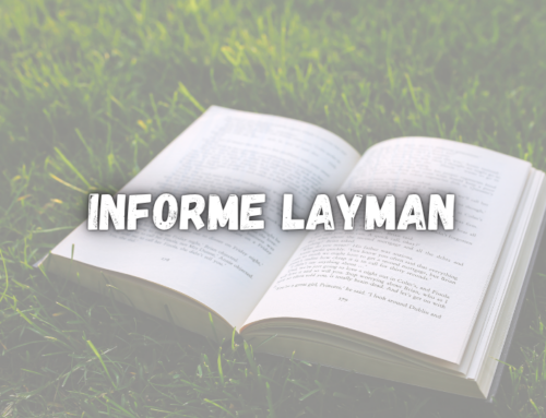 Informe Layman