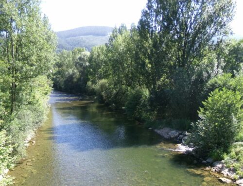 Zona Especial de Conservación – Las ZEC del río Asón y Marismas de Santoña, Victoria y Joyel