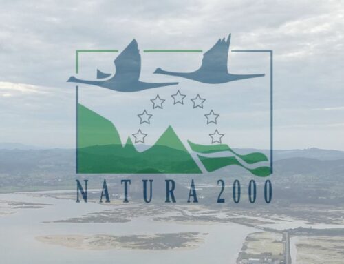 Red Natura 2000: El mayor proyecto de conservación de la biodiversidad en Europa