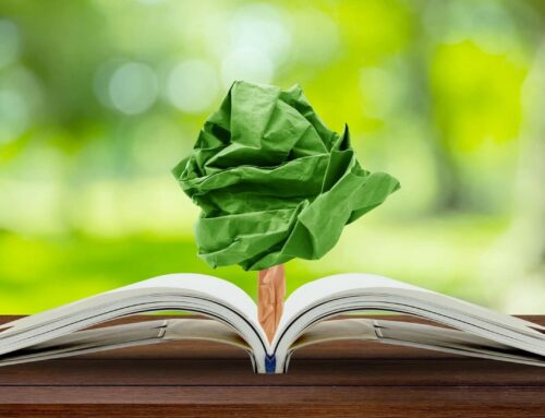 Educación ambiental y restauración fluvial: aprendiendo del Asón