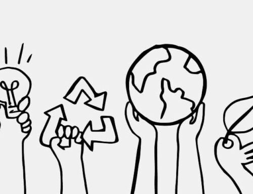 La restauración de ríos como estrategia clave para reducir la huella de carbono