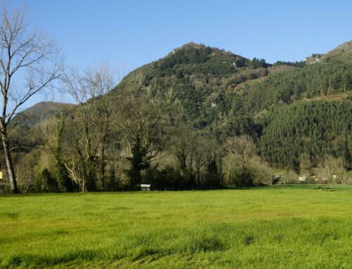 Restauración fluvial: Comunidad y entorno