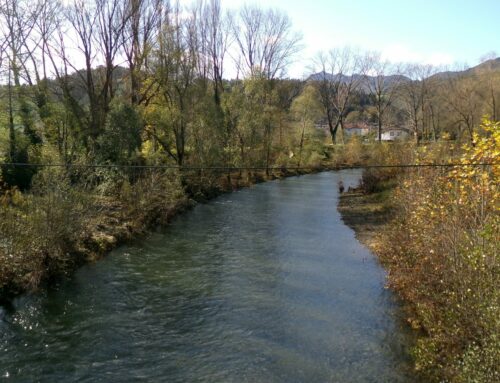 Por qué eliminar el bosque de ribera no es una solución para evitar los desbordamientos de ríos
